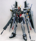 Bandai Hobby Strike Noir, Bandai Master Grade Action Figure