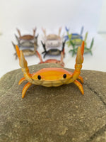 These Crabs are particularly popular with Twitter and Instagram, designed by Japanese designer Ahnitol. It comes in 8 different colors.